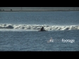 Canoe Surf 1 1461